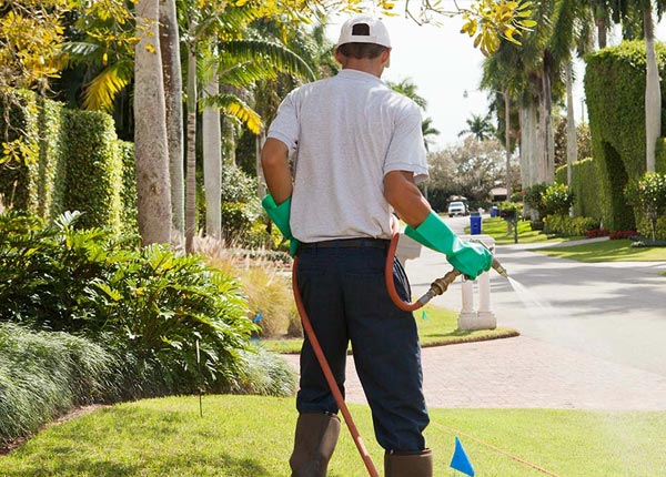 About Luthersville GA Pest Control Pros